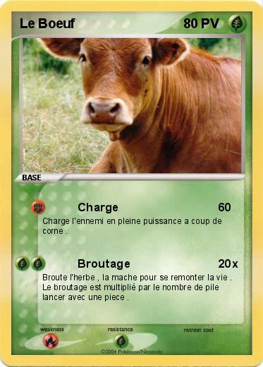 Pokemon Le Boeuf