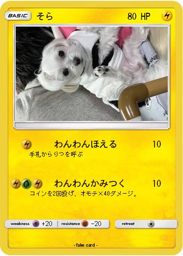 Pokemon そら