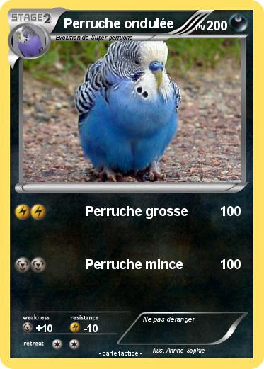 Pokemon Perruche ondulée
