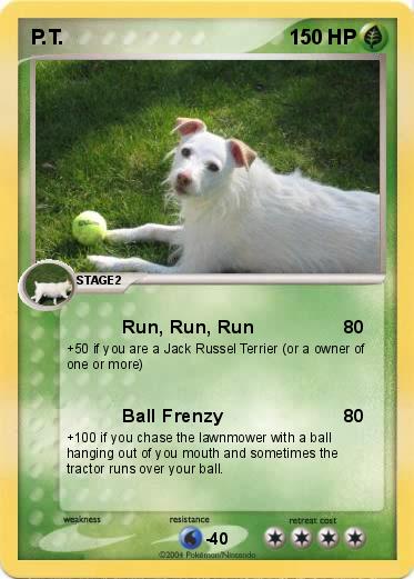 Pokemon P.T.
