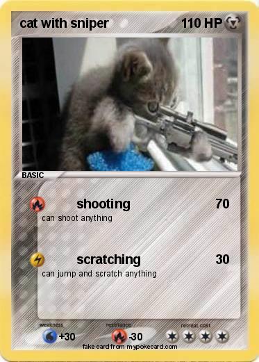 Pokemon cat with sniper