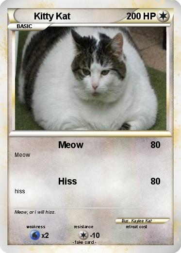 Pokemon Kitty Kat