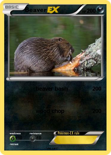 Pokemon Beaver