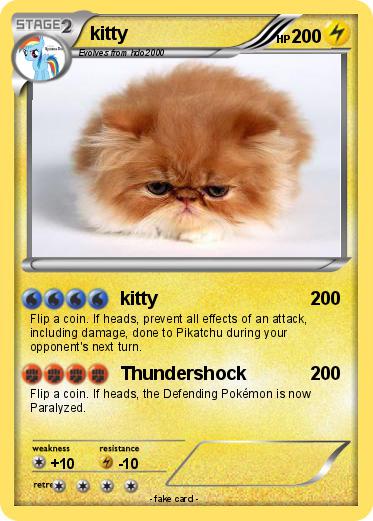 Pokemon kitty