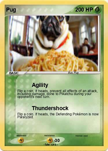 Pokemon Pug