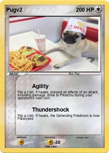 Pokemon Pugv2
