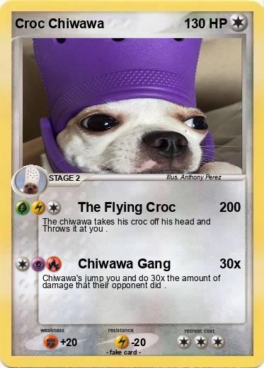Pokemon Croc Chiwawa