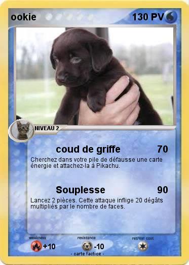 Pokemon ookie