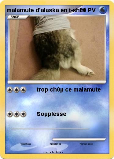 Pokemon malamute d'alaska en t-shirt