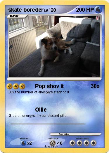 Pokemon skate boreder