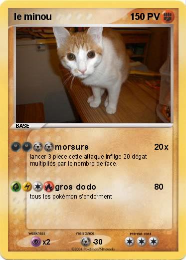 Pokemon le minou