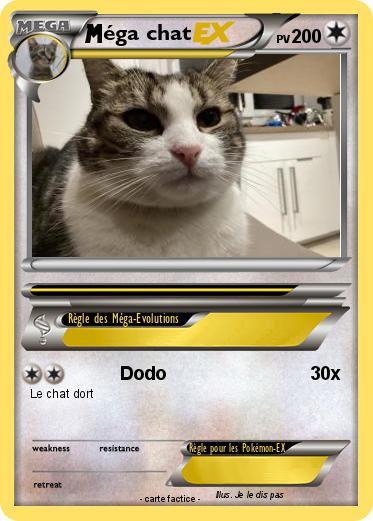 Pokemon éga chat