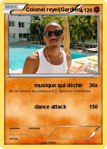 Pokemon Colonel reyel(Gardien)