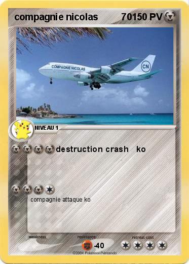 Pokemon compagnie nicolas         70 