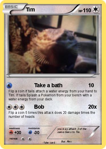 Pokemon Tim