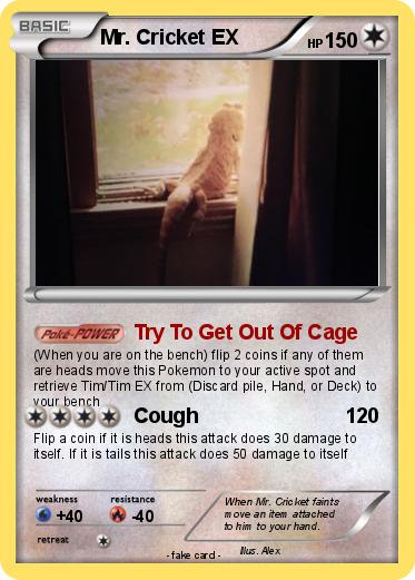 Pokemon Mr. Cricket EX