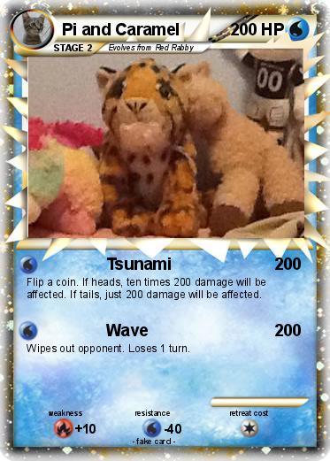 Pokemon Pi and Caramel