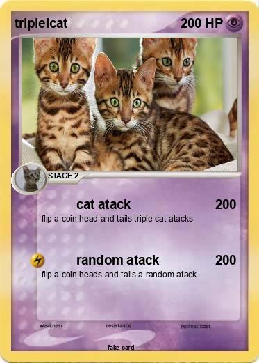Pokemon triplelcat