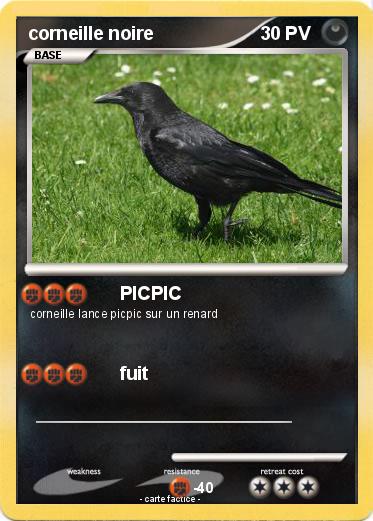 Pokemon corneille noire
