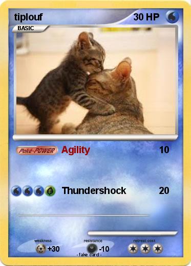 Pokemon tiplouf