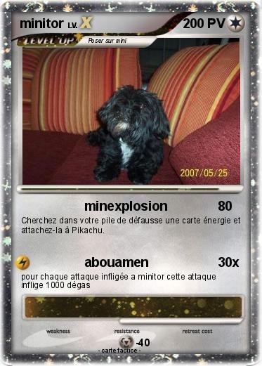 Pokemon minitor