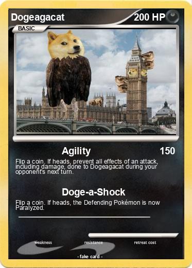 Pokemon Dogeagacat