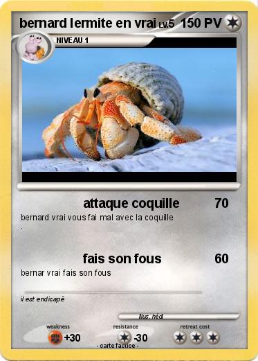 Pokemon bernard lermite en vrai