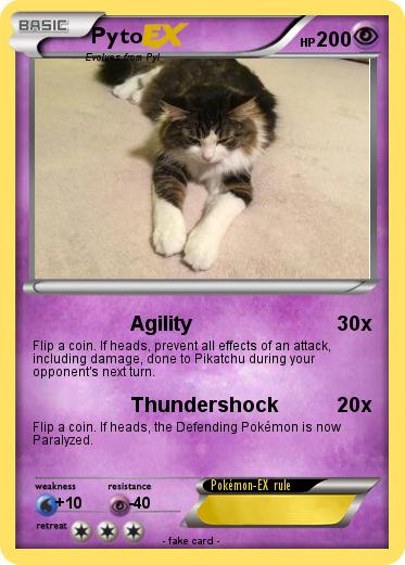 Pokemon Pyto