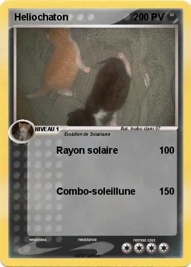 Pokemon Heliochaton