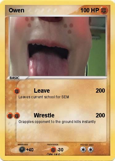 Pokemon Owen