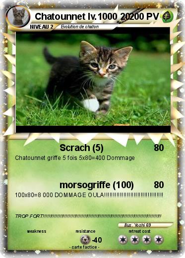 Pokemon Chatounnet lv.1000 20
