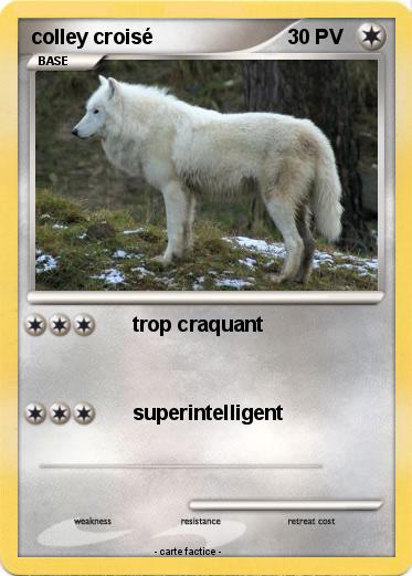 Pokemon colley croisé