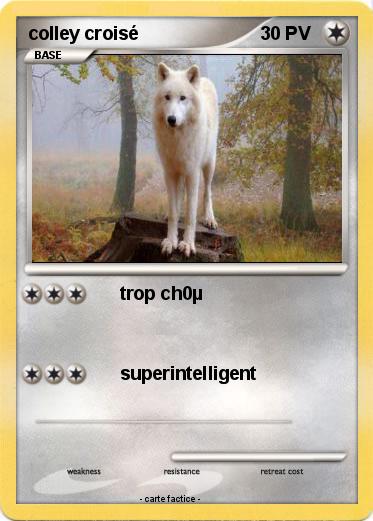 Pokemon colley croisé