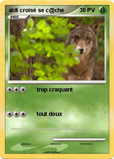 Pokemon aïdi croisé se c@che