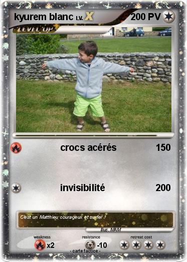 Pokemon kyurem blanc