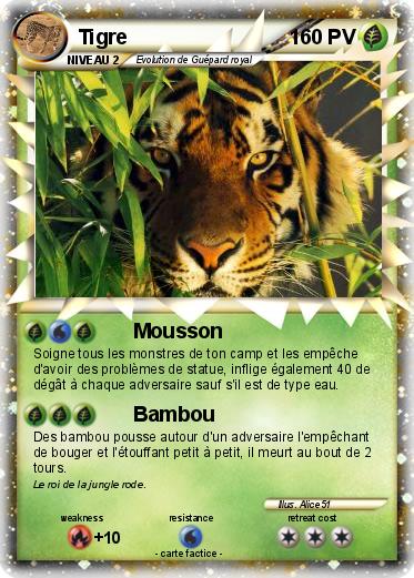 Pokemon Tigre