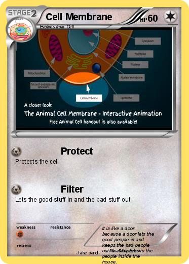 Pokemon Cell Membrane