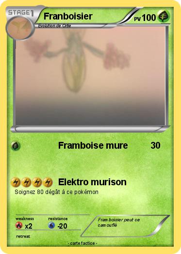 Pokemon Franboisier