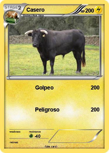 Pokemon Casero