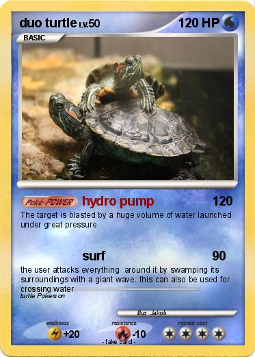 Pokemon duo turtle