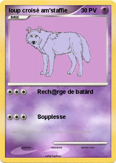 Pokemon loup croisé am'staffie