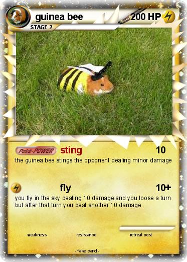 Pokemon guinea bee