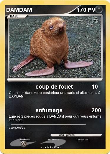 Pokemon DAMDAM