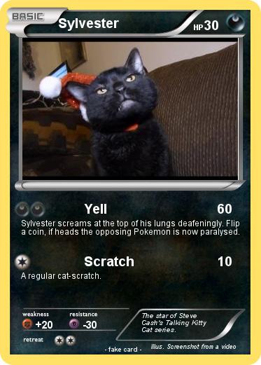 Pokemon Sylvester