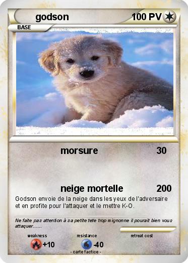 Pokemon godson
