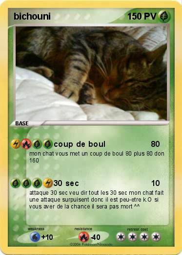 Pokemon bichouni