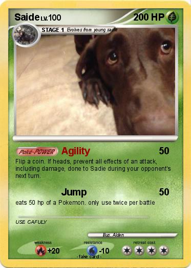 Pokemon Saide