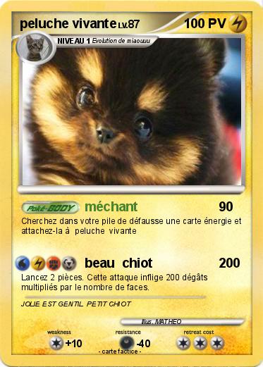 Pokemon peluche vivante
