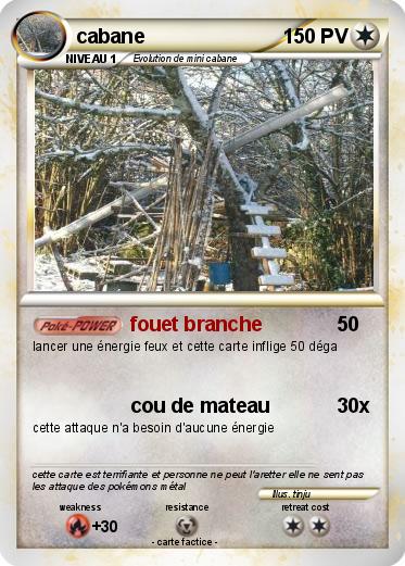 Pokemon cabane
