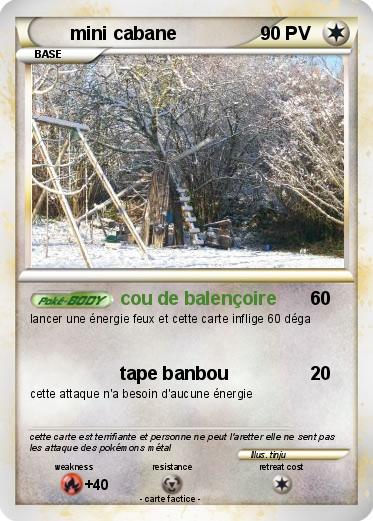 Pokemon mini cabane